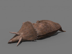 Triceratops Tribute - 8K 3D Модель