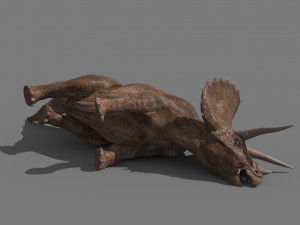 Triceratops Tribute - 8K 3D Модель