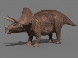 Triceratops Tribute - 8K 3D Модель