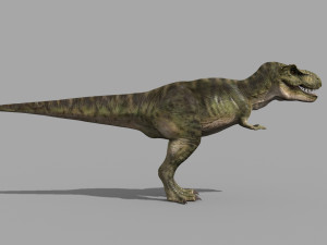 T Rex Premium 8K - fully animated 3D Model