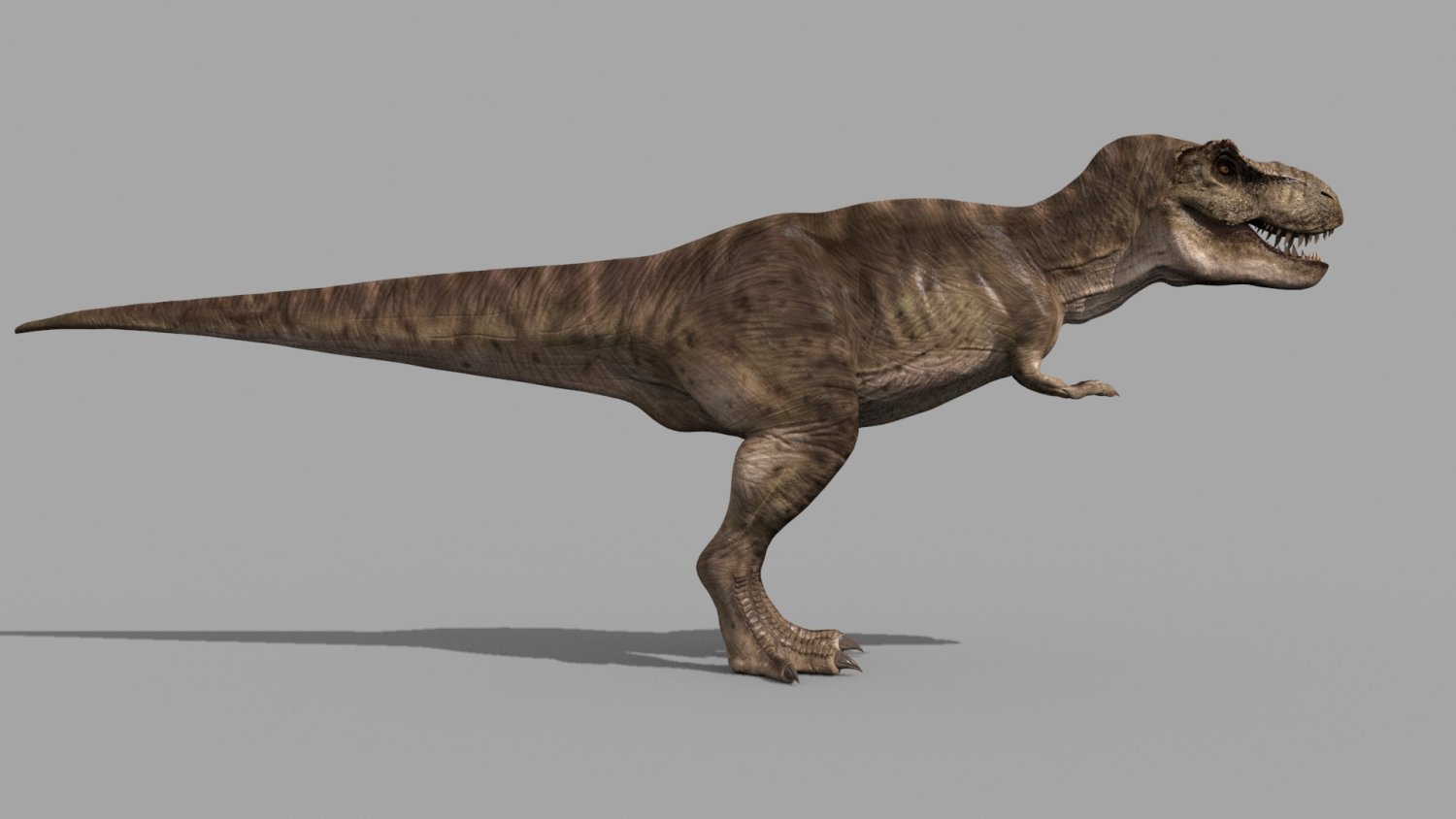 T Rex Premium 8K - fully animated Modelo 3D in Dinosaur 3DExport