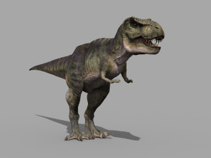 T Rex Premium 8K - fully animated 3D Model