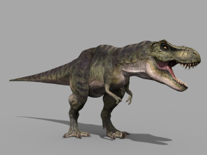 T Rex Premium 8K - fully animated 3D Model