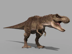 T Rex Premium 8K - fully animated 3D Model