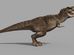 T Rex Premium 8K - fully animated 3D Model