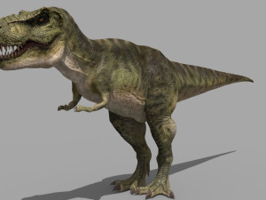 T Rex Premium 8K - fully animated 3D Model