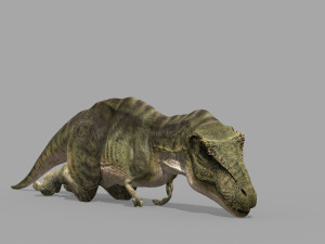 T Rex Premium 8K - fully animated 3D Model
