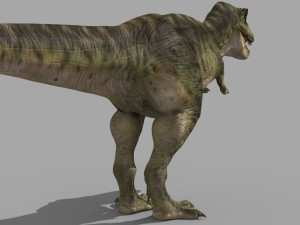 T Rex Premium 8K - fully animated 3D Model