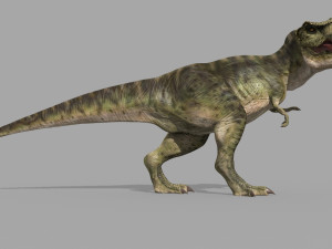 T Rex Premium 8K - fully animated 3D Model