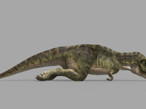 T Rex Premium 8K - fully animated 3D Model