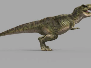T Rex Premium 8K - fully animated 3D Model