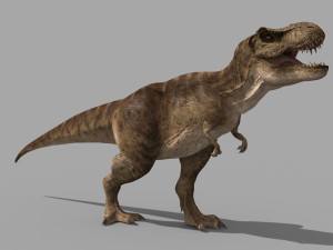 T Rex Premium 8K - fully animated 3D Model
