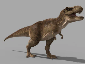 T Rex Premium 8K - fully animated 3D Model