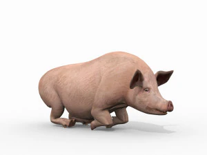 Porky the pig - animated 3d fur model 3D Model