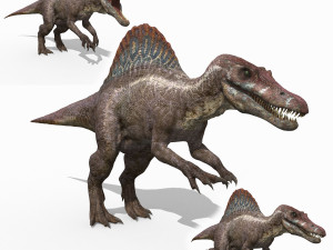 Suchomimus Mongolica - 8K animated JP3 Spinosaur 3D Model
