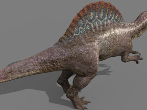 Suchomimus Mongolica - 8K animated JP3 Spinosaur Modelo 3D
