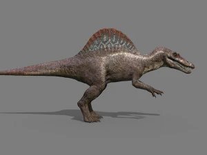 Suchomimus Mongolica - 8K animated JP3 Spinosaur 3D Model