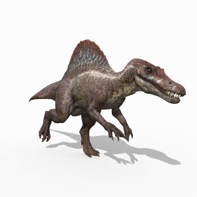Suchomimus Mongolica - 8K animated JP3 Spinosaur 3D Model in Dinosaur