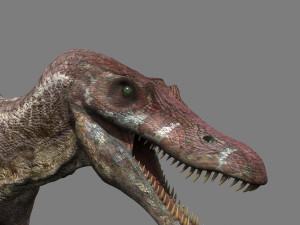 Suchomimus Mongolica - 8K animated JP3 Spinosaur Modelo 3D