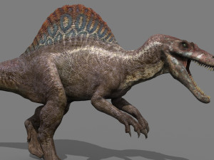 Suchomimus Mongolica - 8K animated JP3 Spinosaur Modelo 3D