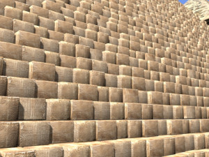 GREAT PYRAMID PACK 3D Model