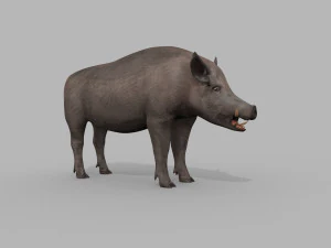 Boar Javali attacker pig - animated 3d fur model 3D Model