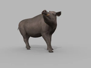 Boar Javali attacker pig - animated 3d fur model 3D Model