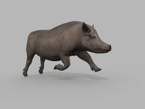 Boar Javali attacker pig - animated 3d fur model 3D Model