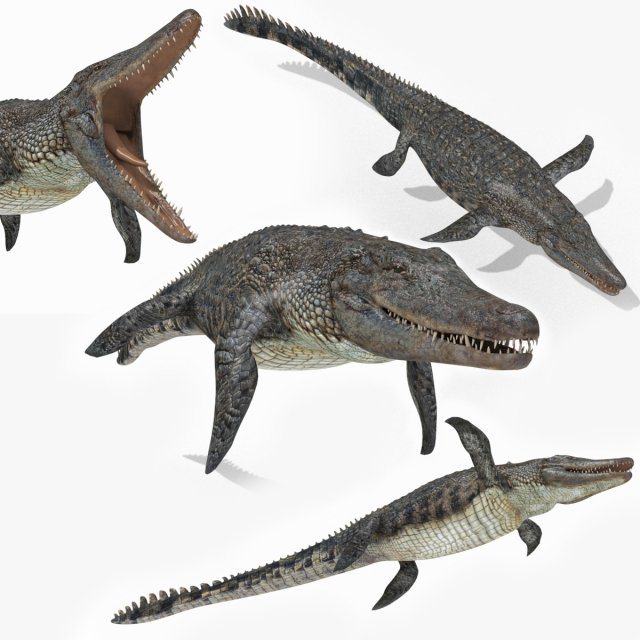 Mosasaurus Rex - 8K animated 3D Model .c4d .max .obj .3ds .fbx .lwo .lw .lws