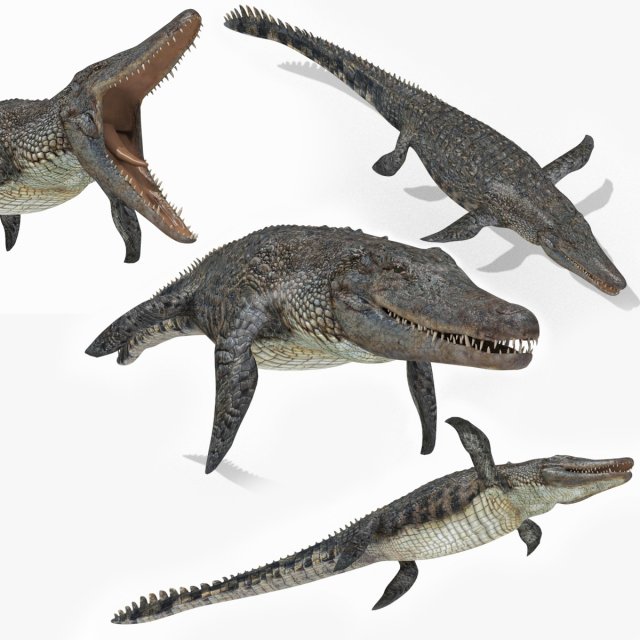 Mosasaurus Rex - 8K animated 3D Model .c4d .max .obj .3ds .fbx .stl .blend 