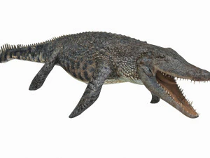 Mosassauro Rex - animado em 8K Modelo 3D