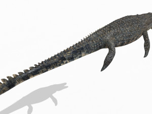 Mosasaurus Rex - 8K animated 3D Model