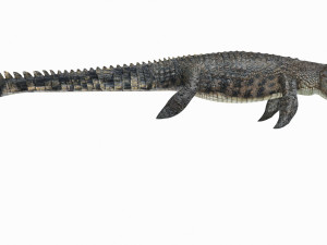 Mosasaurus Rex - 8K animated 3D Model