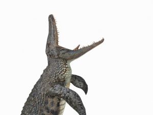Mosasaurus Rex - 8K animated 3D Model
