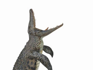 Mosassauro Rex - animado em 8K Modelo 3D