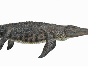 Mosasaurus Rex - 8K animated 3D Model