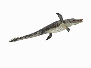 Mosasaurus Rex - 8K animated 3D Model