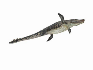 Mosassauro Rex - animado em 8K Modelo 3D