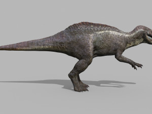 Suchomimus Tenerensis - 8K animated 3D Модель