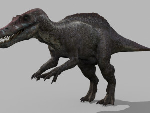 Suchomimus Tenerensis - 8K animated 3D Модель