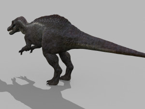 Suchomimus Tenerensis - 8K animated 3D Модель