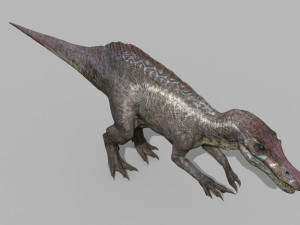 Suchomimus Tenerensis - 8K animated 3D Модель