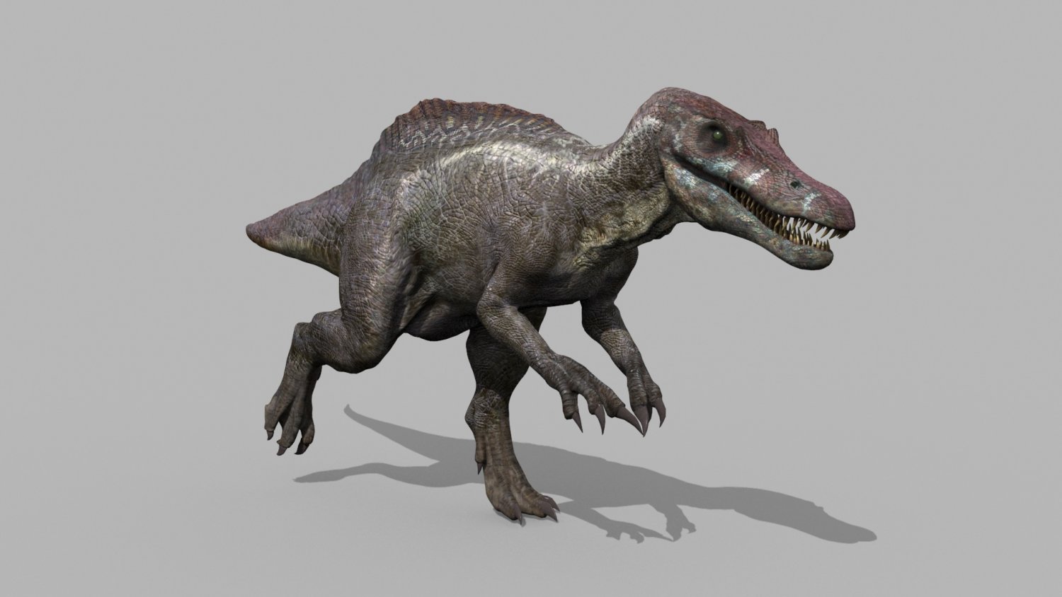 T Rex Premium 8K - fully animated Modelo 3D in Dinosaur 3DExport