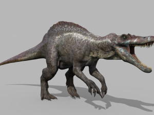 Suchomimus Tenerensis - 8K animated 3D Модель