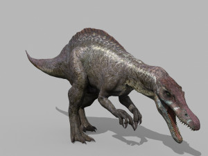 Suchomimus Tenerensis - 8K animated 3D Модель