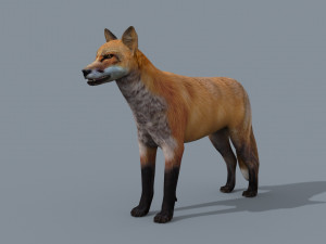My Fox - 3d animated fox model Modèle 3D
