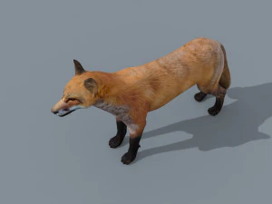My Fox - 3d animated fox model 3D Model