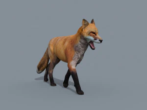 My Fox - 3d animated fox model 3D Model