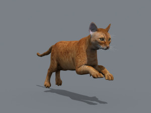 My Cat 8K - 3d animated model Modelo 3D