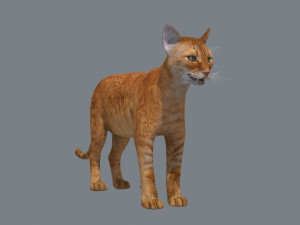 My Cat 8K - 3d animated model Modelo 3D